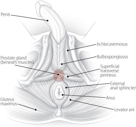 If you want to see a lot of hot movies with a lot of old mature sex, then you are in the perfect place! Finding help for pelvic pain: A patient's story - Harvard ...