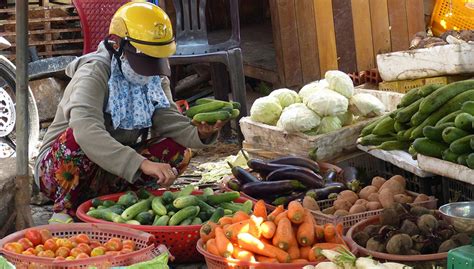 This growth has put huge pressure on the world food production capacity. COVID-19 — Another wake up call for food security - Asia ...