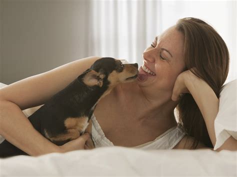 You may be able to see and feel movement, from around 7 weeks. Dog Kisses: Is Your Dog Really Kissing You? - Whole Dog Journal