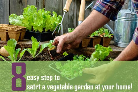 The first step to successful vegetable gardening is to plan your garden and plan it well. 8 Step Formula to Start Vegetables Garden from Seeds at ...