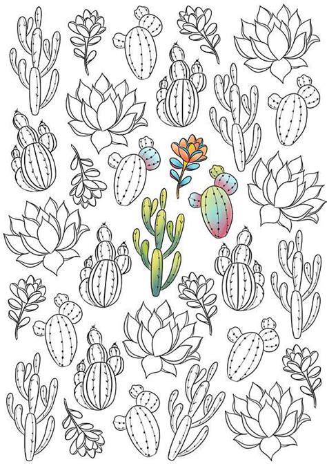 California pitcher plant coloring page transparent cartoon free cliparts silhouettes netclipart sheets pages for. Succulent Coloring Ebook | Etsy in 2020 | Succulents ...