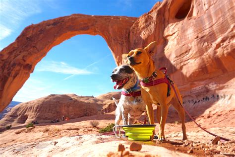 Continue up that street and then turn right onto oakcliff drive. A Breathtaking Dog-Friendly Alternative to Arches NP ...