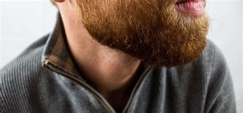 Wann beginnt bei jungen der bartwuchs? Bartpflege: Tipps und Mittel für einen schönen Bart ...