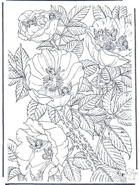 Fantasie kleurplaten voor kinderen, verschillende soorten elfjes kleurplaten. Elfjes in bloemen - Kleurplaat elfjes | Kleurplaten ...