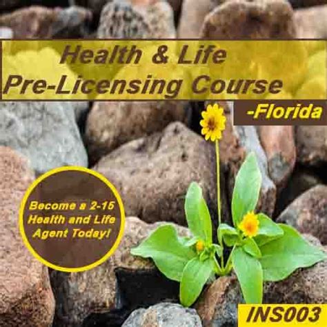 Florida: 60 hr 2-15 Health and Life Insurance Pre ...