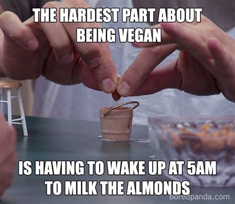 It will be published if it complies with the content rules and our moderators approve it. 7 Funny Vegan Memes Will Give You A New Perspective About ...