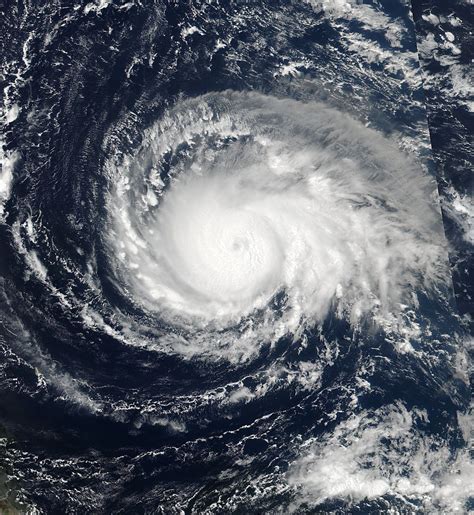 Cyclone seroja demolished parts of australia—a warming world will bring more of the same. Au cœur du cyclone Irma, une vidéo de chasseurs d'ouragan ...