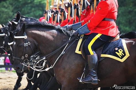 The rider, los angeles, california. Iconic RCMP Musical Ride Set To Trot During The 170th ...