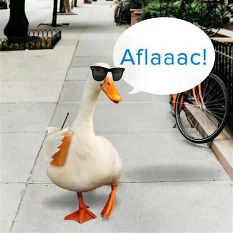 Aflac is widely known for its zany commercials especially those with a duck that quacks the company's name. Aflac duck | Aflac duck, Aflac, Cute funny animals
