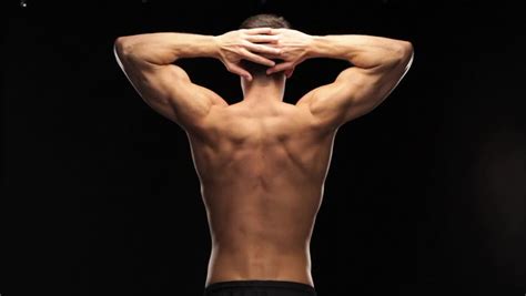 We did not find results for: Stock video of flexing back muscles | 3074023 | Shutterstock