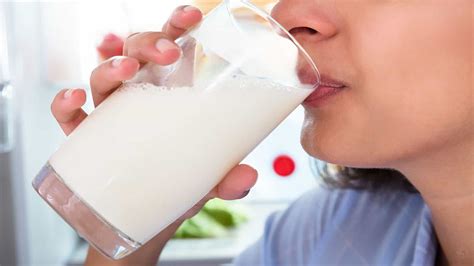 Check spelling or type a new query. ما هو تفسير شرب الحليب في المنام لابن سيرين؟ - تفسير ...