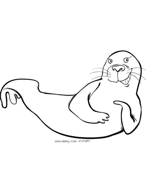 Each page can be completed individually as an addition to an animal unit, or as coloring pages for mother's day. Harp Seal