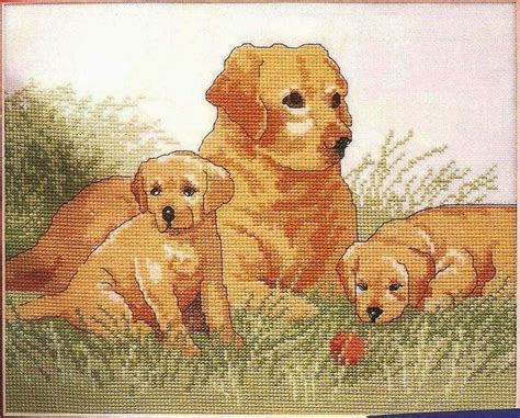 Learning more about the golden retriever's lineage. cachorros-golden-retriever-y-madre.jpg (1035×832) | Cross ...