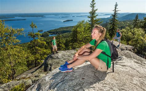 Junger hund, tierjunges see also: Koli - Lönnrotin jalanjäljissä Pieliselle | Valitut Palat