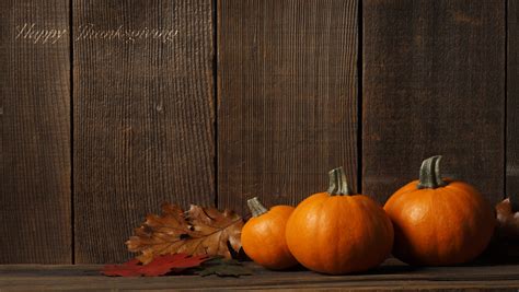 See more thanksgiving wallpaper, thanksgiving iphone wallpaper, disney thanksgiving wallpaper, funny thanksgiving wallpaper, fall looking for the best thanksgiving backgrounds? Free HD Thanksgiving Wallpapers for iPhone 5 and iPod ...