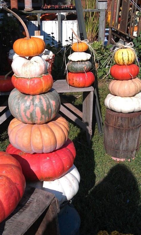 Now you can order food online for takeout from chen's garden in spencer, ia. Shutterfly | Pumpkin display, Growing pumpkins, Stacked ...