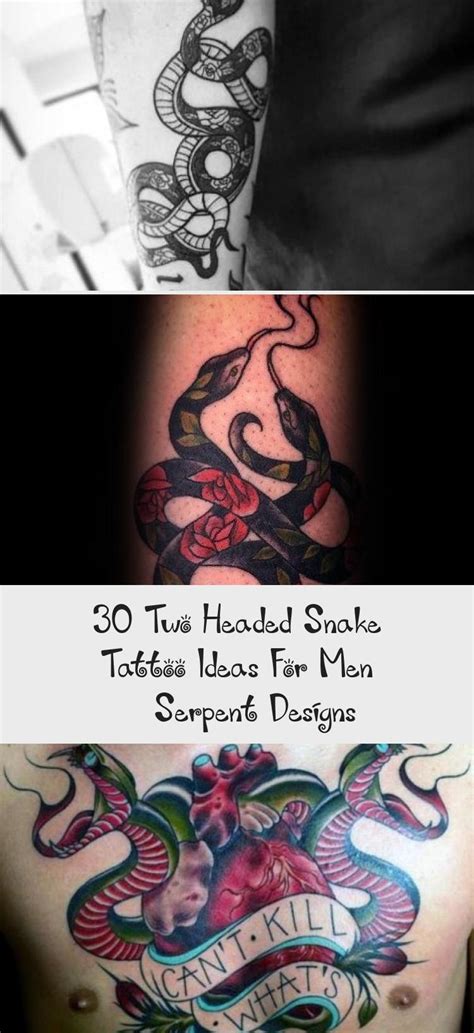 Check spelling or type a new query. 30 Two Headed Snake Tattoo Ideas For Men - Serpent Designs ...