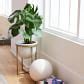 West elm eden cross bass standing planter in brass white size: Eden Cross Base Standing Planter - Brass | West Elm