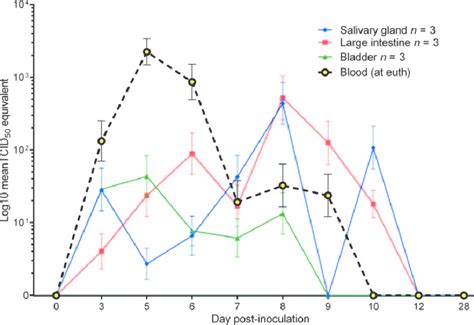 Marburg virus has been found in monkeys, chimps and fruit bats in africa. Marburg virus RNA in salivary gland, bladder, and large ...