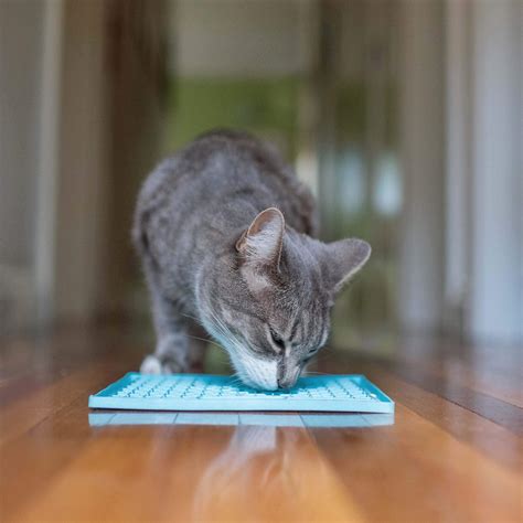 LickiMat® Classic Buddy™ for Cats - Innovative Pet Products