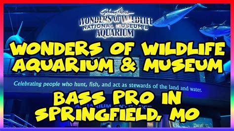 Things to do in springfield. Wonders of Wildlife National Museum at Bass Pro ...