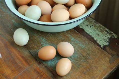 These versatile bread doughs use a lot of eggs and will be sure to please everyone in your family! Desserts Using Lots Of Eggs : Lemon Magic Cake Jo Cooks : Nigella lawson's clementine cake takes ...