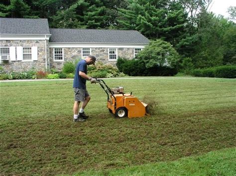 One of the most important steps in a lawn renovation is watering your lawn lightly and frequently while we wait for the new seed to germinate. How to Prepare Your Lawn for Overseeding - Best Manual Lawn Aerator