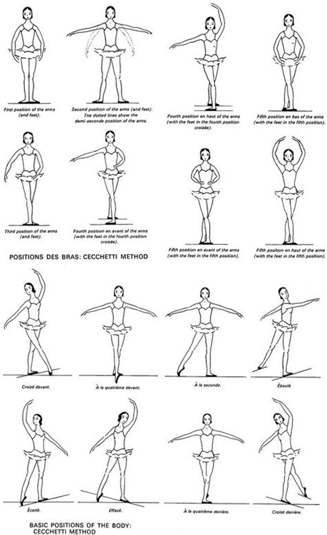 Learn about body movements topic of biology in details explained by subject experts on vedantu.com. Like Mom And Apple Pie: Free Vintage Ballerina Poster Printables