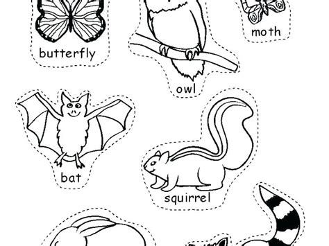 Badgers are a polyphyletic grouping, and are not a natural taxonomic grouping: Bucky Badger Coloring Page at GetColorings.com | Free ...