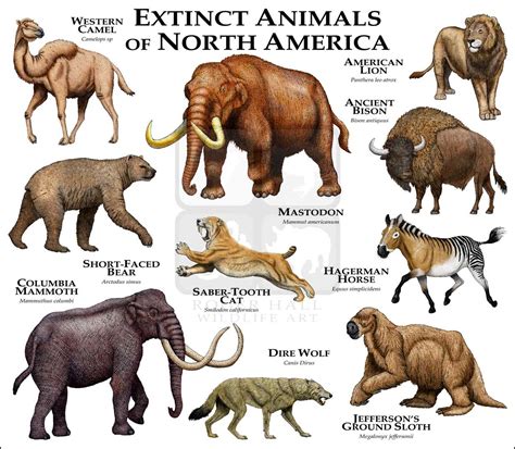 The extinct animals community is a page created to raise awareness about the animals who became lost from civilization. Species Extinction | Environmental Issues