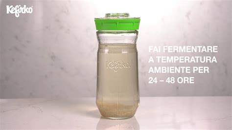 Contiene 20 calorie per 100 grammi. Fare il kefir d'acqua con il Kefir Maker di Kefirko - YouTube