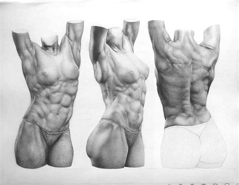 We'll start by first simplifying the basic forms of the torso. Carlos Wolfgram - anatomy study, female torso