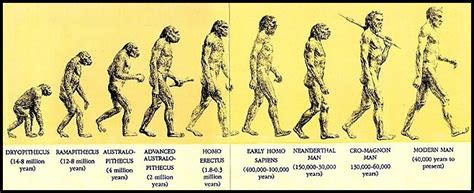 Evolution is the process of change in all forms of life over generations. Ibnu Khaldun dah tulis tentang evolusi manusia sebelum ...