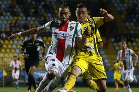 W l l d w. Los números de Palestino vs. Everton - La Tercera