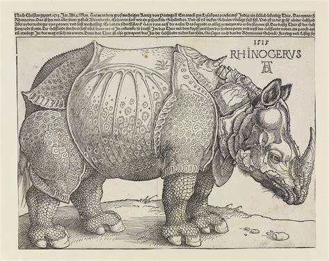 Dieses aufklappbare kartenetui mit dem berühmten motiv eines »rhinozeros« von albrecht dürer ist ein sehr handlicher und praktischer helfer im alltag. Ausstellung in Karlsruhe: Hier begegnen sich Dürer und ...