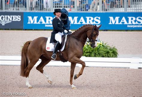 Sie hat sich heute von der championatsbühne. El año dorado de Isabell Werth con Bella Rose 2 - Lily Forado