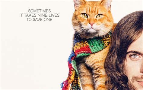 A street cat named bob is a gorgeous and extraordinarily uplifting film. A Street Cat Named Bob 2016 wallpapers