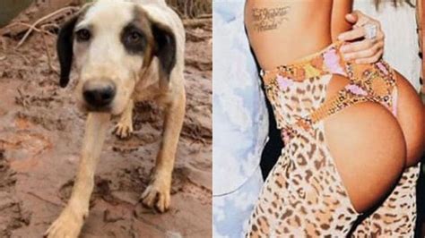 O instituto luisa mell é uma das ongs de animais mais conhecidas do país com atuação específica no resgate de animais feridos e em situações de risco. Cenapop · Luisa Mell usa bumbum de Anitta para chamar ...
