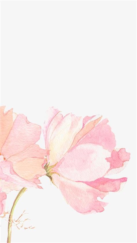 Maybe you would like to learn more about one of these? Light Pink Watercolor at GetDrawings | Free download