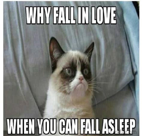 Top 30 clean humor quotes cat memes clean funny cats funny animals. Pin by Morris Fowler on Grumpy Cat makes me smile! | Grumpy cat humor, Grumpy cat quotes, Grumpy ...
