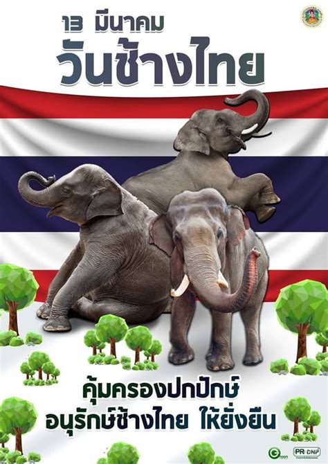 วันที่ 13 มีนาคม ของทุกปี วันช้างไทย - สำนักงานนโยบายและแผนทรัพยากรธรรมชาติและสิ่งแวดล้อม