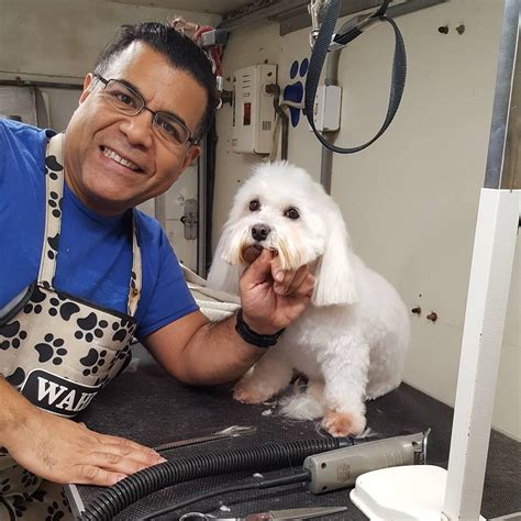 Miami's pet grooming | profesional pet mobile grooming at your door open since 1998. Mobile Dog Grooming Kendall, Pinecrest, Miami | St. Jude's ...