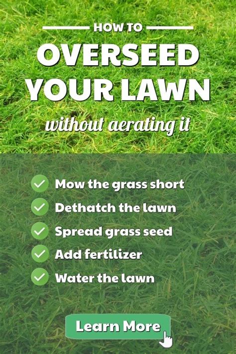 A lot of work is required for overseeding lawns correctly, so be determined to pay careful attention to how you water. How To Overseed Your Lawn Without Aerating It (With images ...