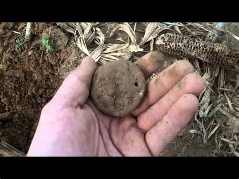 Metal detecting can be a great way to blow off steam, but some lucky hobbyists locate significant monetary and historical value items. Short Sunday hunt with some cool finds. Metal detecting ...