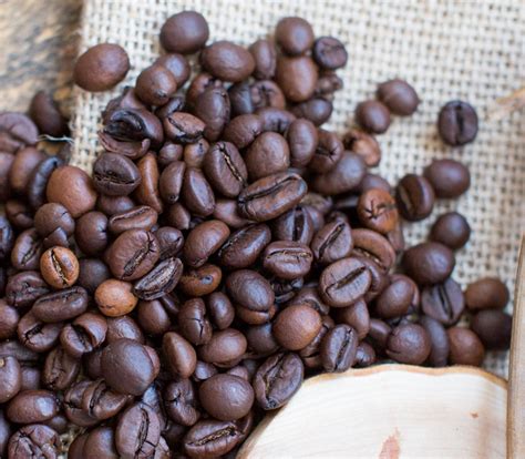 Fresh roasted coffee, gourmet coffee. Panama Geisha la Esmeralda Coffee-Cantata Cyprus