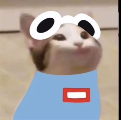 The images have been used to create videos in which the cat lip syncs various songs, similar to baby eats camera memes. george 🐈‍⬛ in 2021 | My dream team, Pop cat, Dream friends