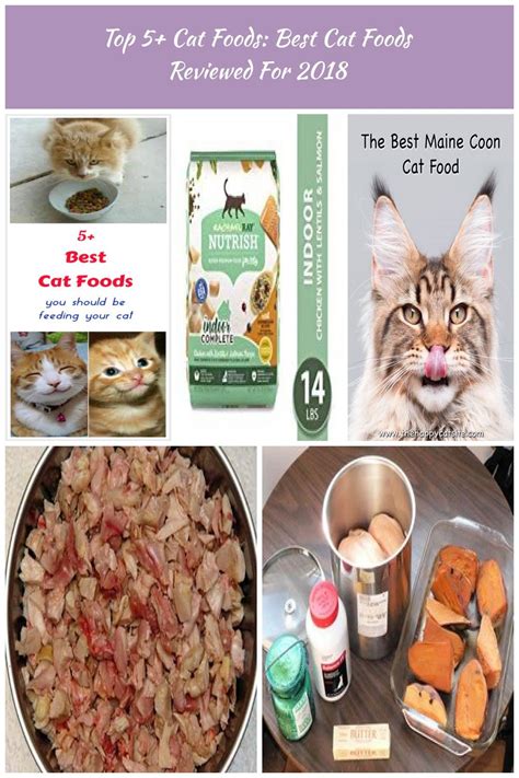 Great package great product, we have seen the big difference switching to this food for our fur baby. Want the best food for your cat? Our top 5 cat foods are ...