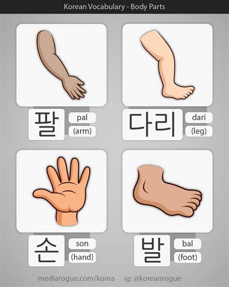 Korean Words for Arm, Leg, Hand, & Foot | Korean words, Korean language learning, Learn korean ...