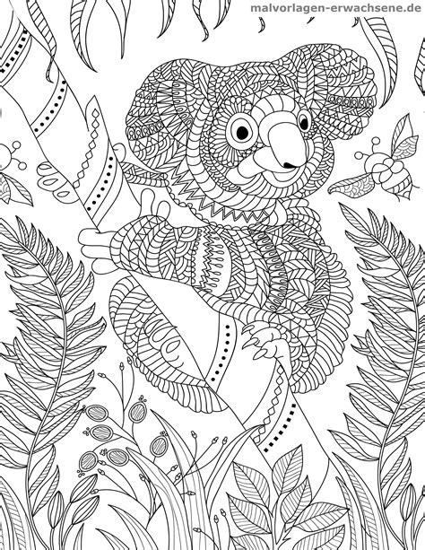Malvorlage Koala für Erwachsene - Kostenlose Ausmalbilder