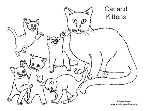 Have fun discovering pictures to print and drawings to color. Cat and Kittens Coloring Page